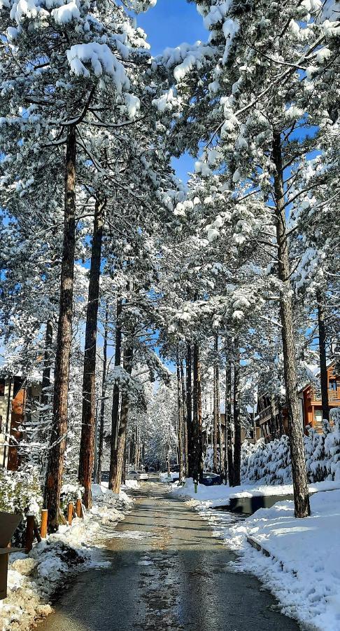 Apartment Erak Hill Zlatibor Buitenkant foto
